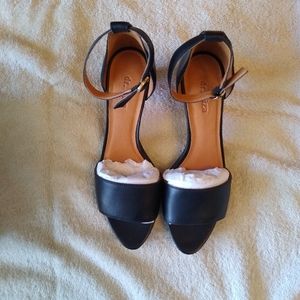 Dr. Liza black pumps